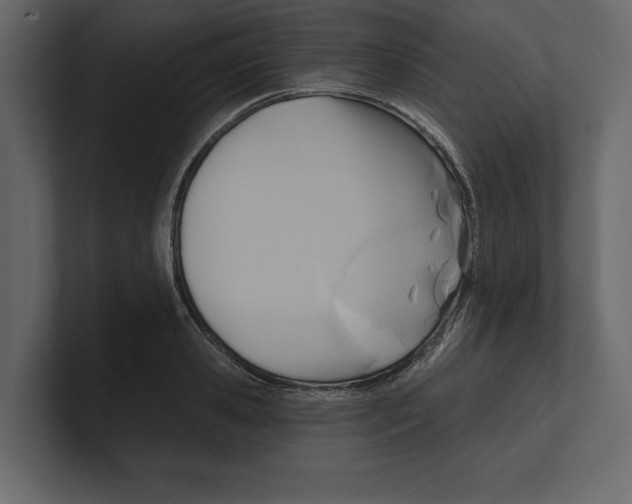 X0000100470941200807111038