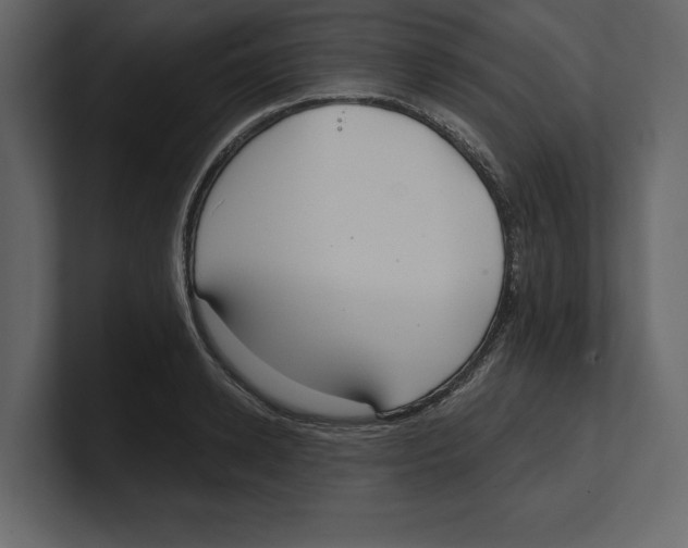 X0000100470942200807111038