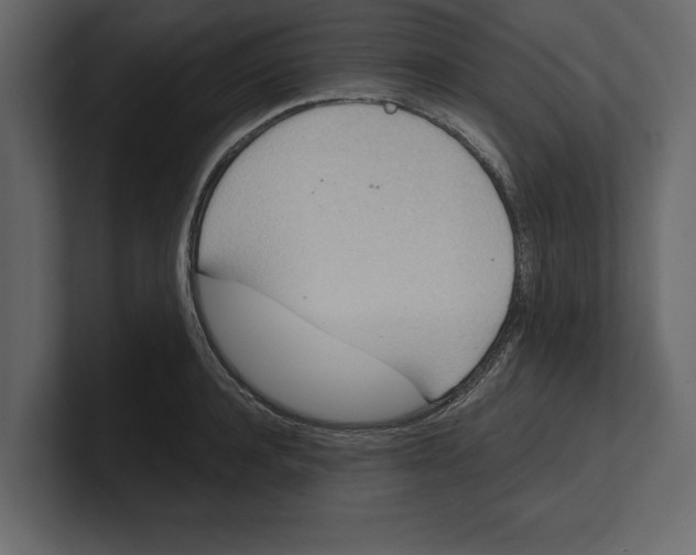 X0000100470944200807111038