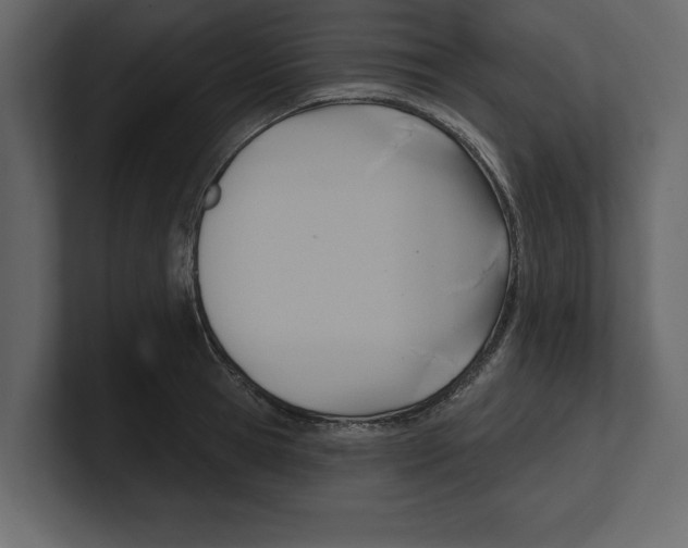 X0000100470945200807111038