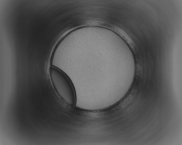 X0000100470948200807111038