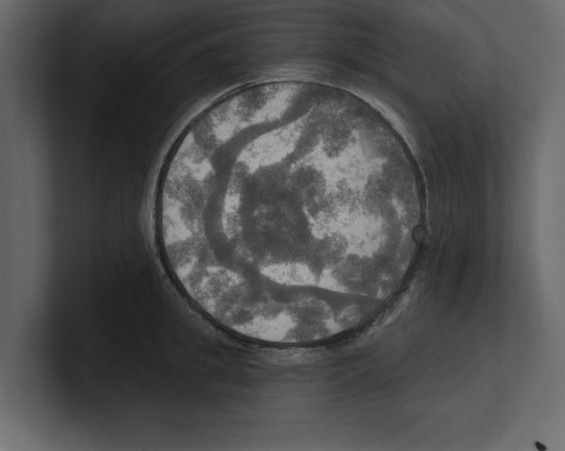 X0000100470949200807111038