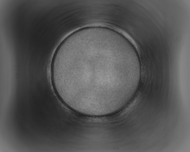 X0000100470951200807111038