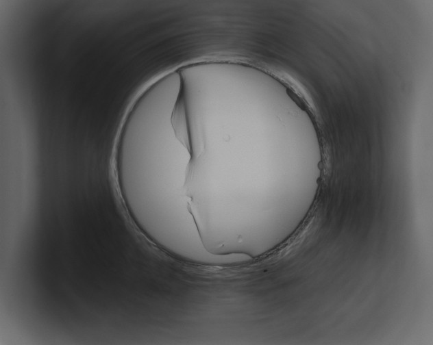 X0000100470952200807111038