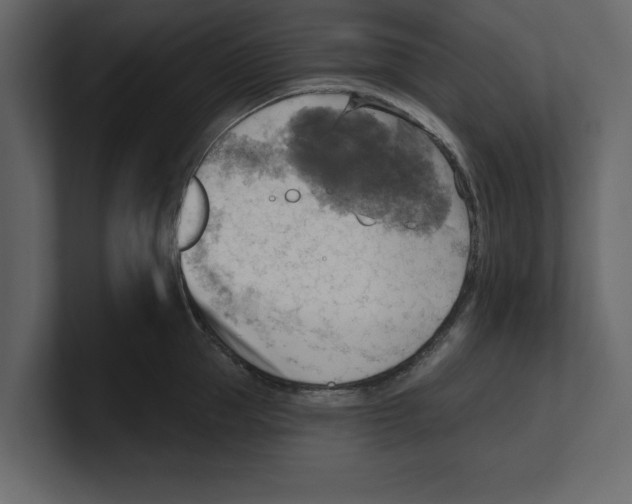 X0000100470953200807111038