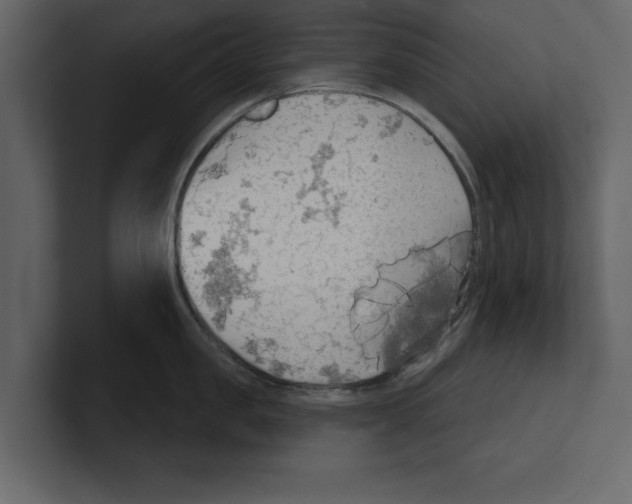 X0000100470957200807111038