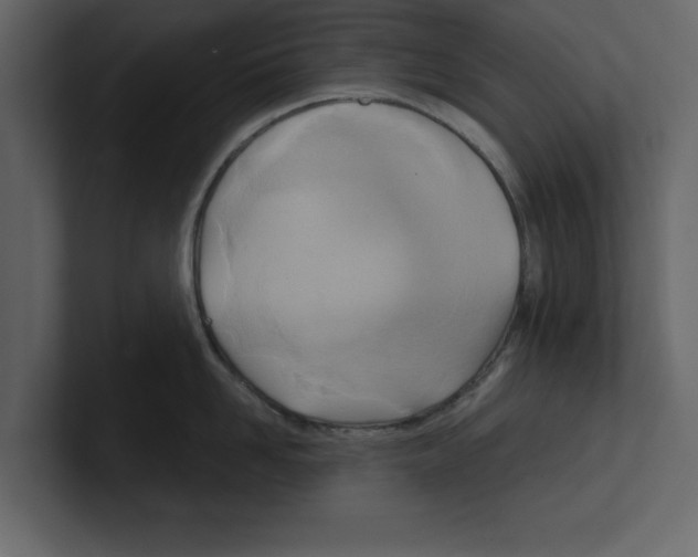 X0000100470958200807111038