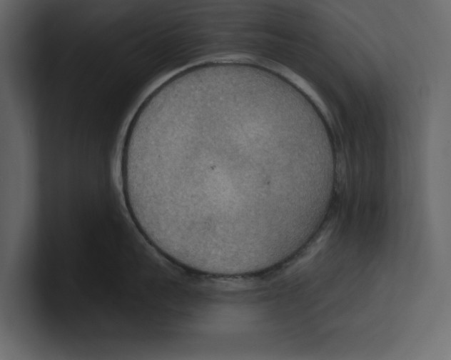 X0000100470959200807111038