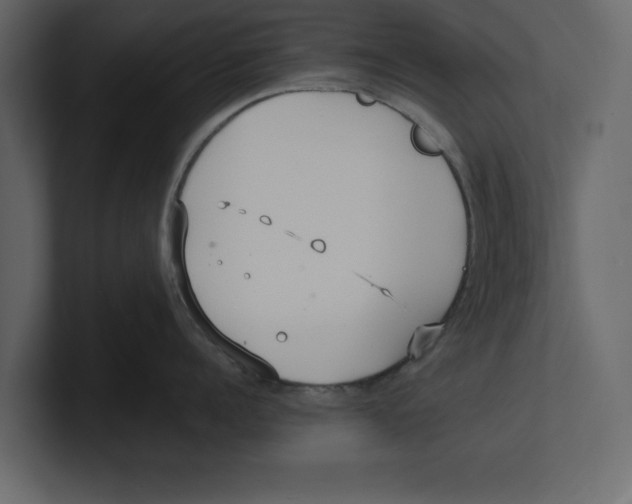 X0000100470960200807111038