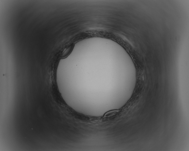 X0000100470965200807111038