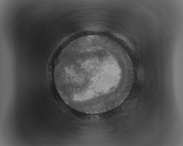 X0000100470968200807111038