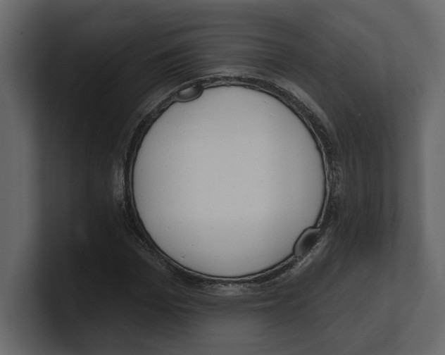 X0000100470969200807111037