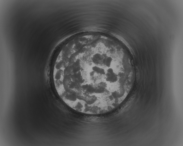 X0000100470971200807111037