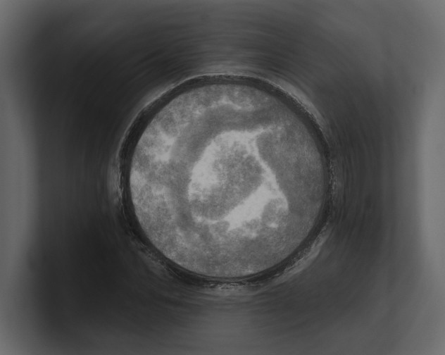 X0000100470974200807111037