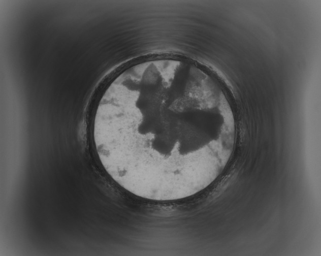 X0000100470975200807111037