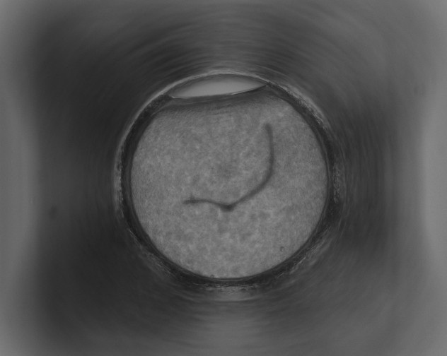 X0000100470976200807111037