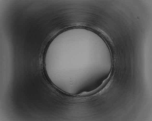 X0000100470977200807111037