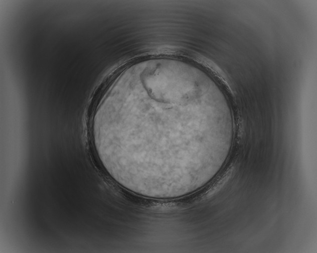 X0000100470978200807111037