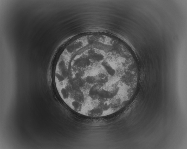 X0000100470979200807111037