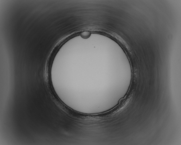 X0000100470981200807111037