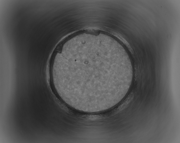 X0000100470984200807111037