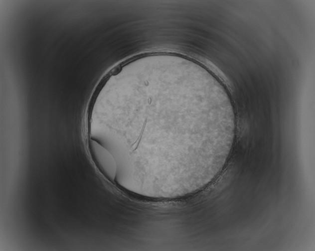 X0000100470988200807111037