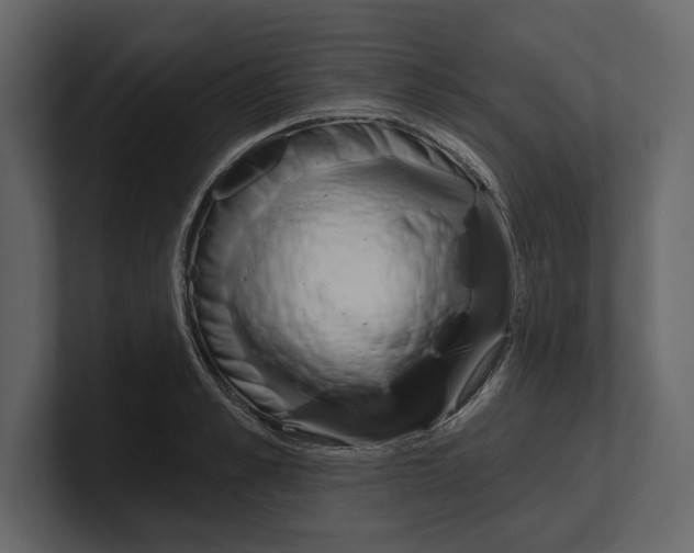 X0000100470989200807111037