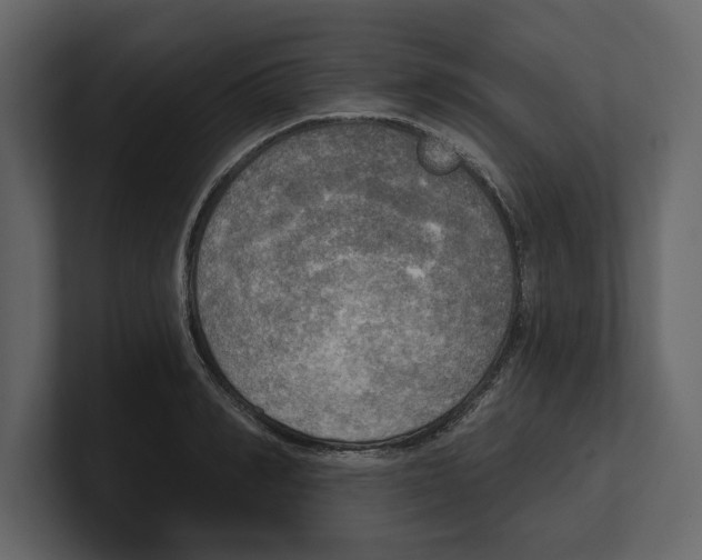 X0000100470990200807111037