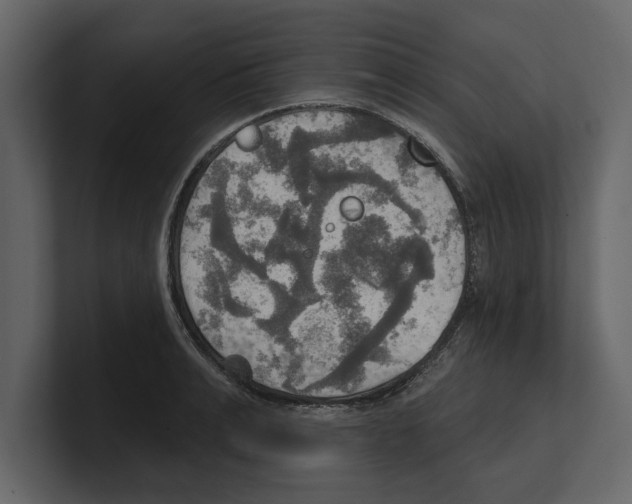 X0000100470991200807111037