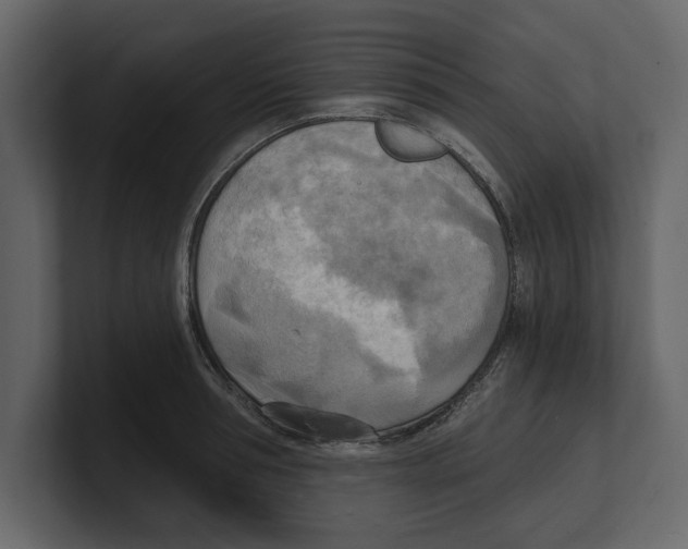 X0000100470994200807111037