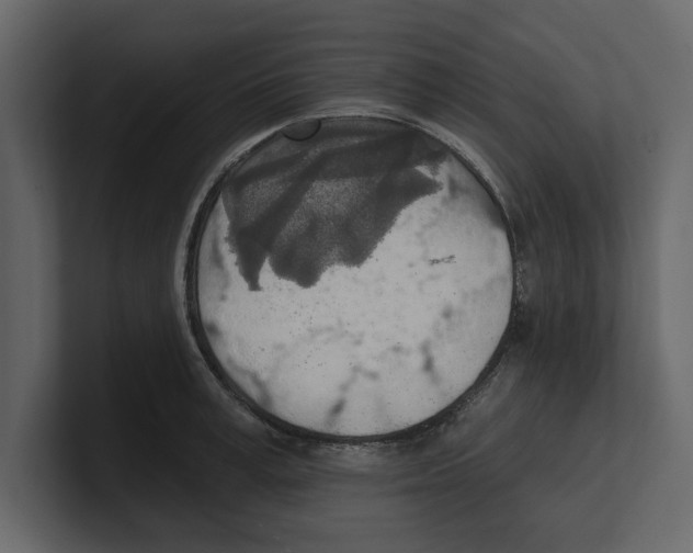 X0000100470995200807111037