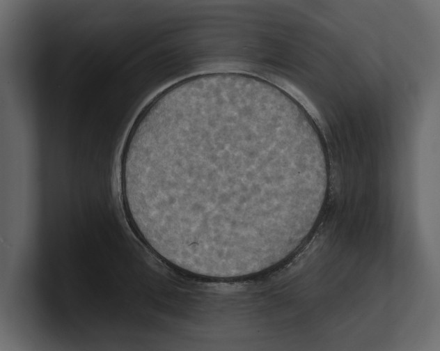 X0000100470996200807111037