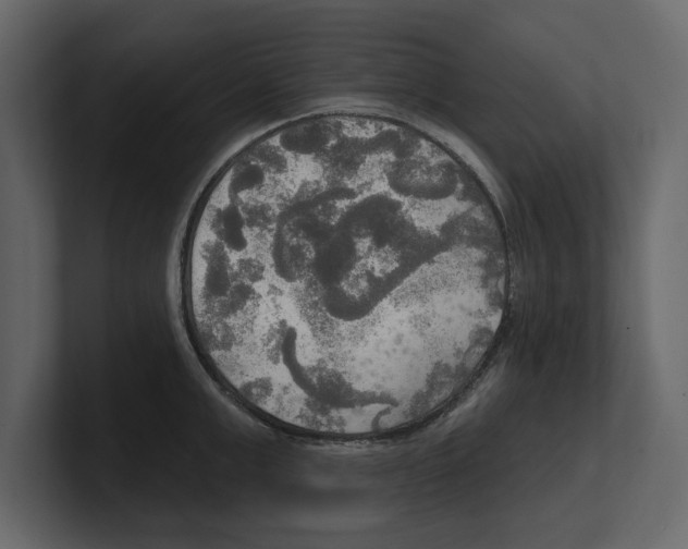 X0000100470999200807111037