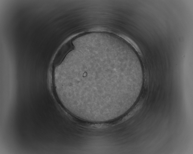 X0000100471000200807111037