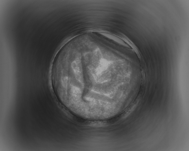 X0000100471002200807111037