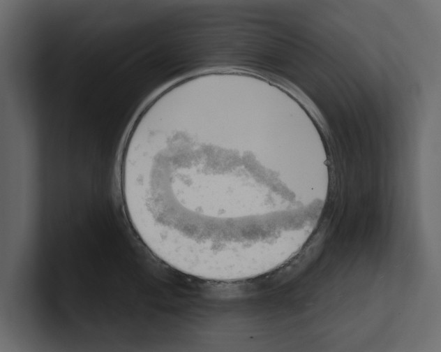 X0000100471004200807111037