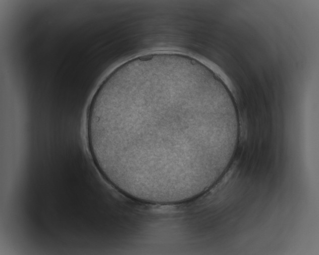 X0000100471006200807111037