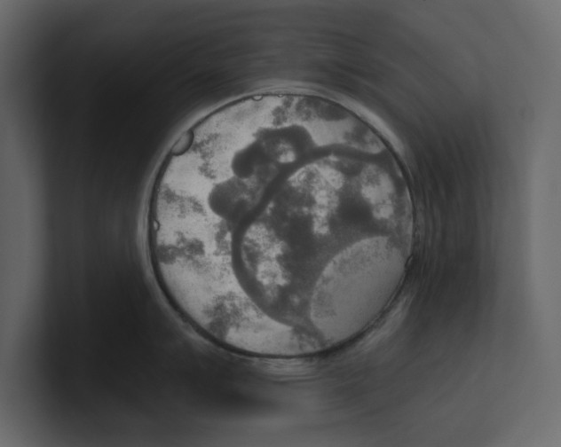 X0000100471007200807111037