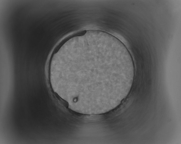 X0000100471008200807111037