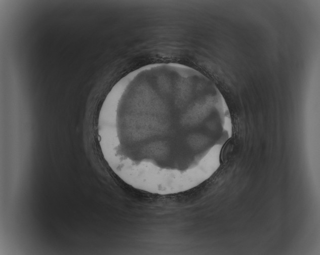 X0000100471009200807111036