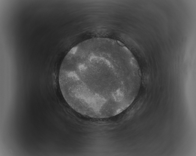 X0000100471010200807111036