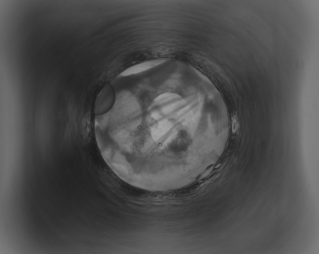 X0000100471011200807111036