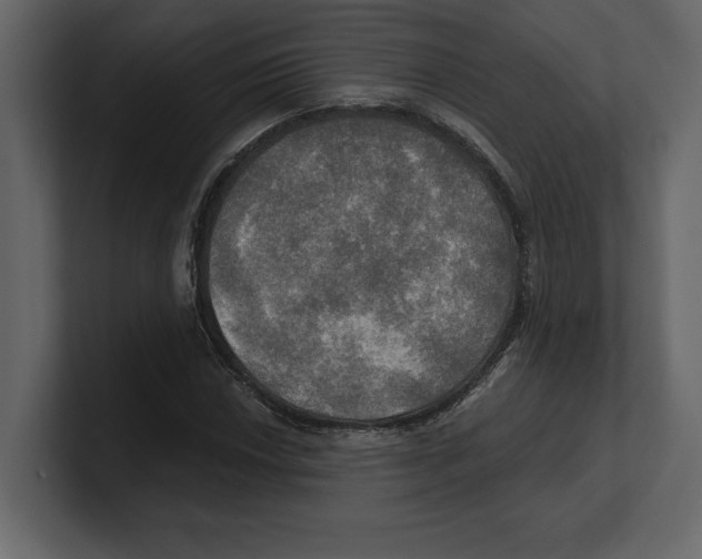 X0000100471018200807111036