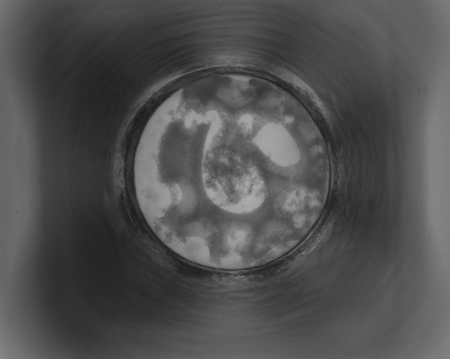 X0000100471019200807111036