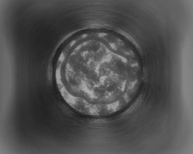 X0000100471021200807111036