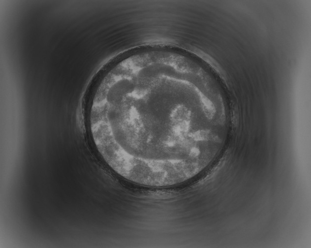 X0000100471022200807111037