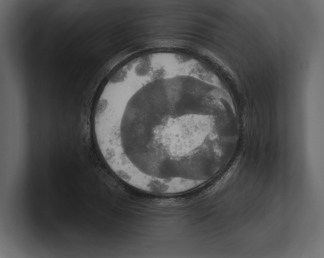 X0000100471025200807111037