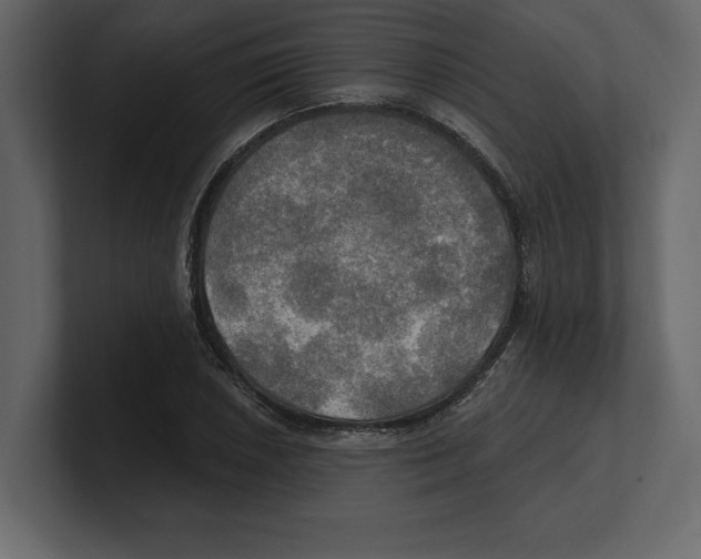 X0000100471026200807111037