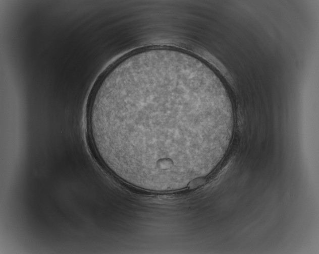 X0000100471028200807111037