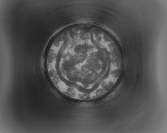 X0000100471029200807111037